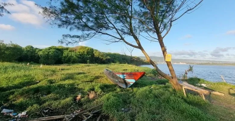 Keanekaragaman Hayati di Hutan Mangrove Indonesia